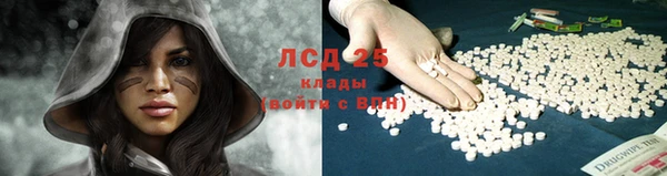 соль ск Алексин