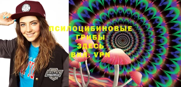 бошки Алексеевка