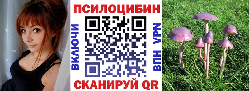 купить наркоту  Иланский  Псилоцибиновые грибы ЛСД 